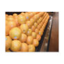 ORANGES produce isle t-shirt shirts cards gifts Postcards