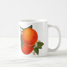 Oranges Vintage Crate Art Coffee Mug