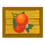 Oranges Vintage Crate Art Postcard