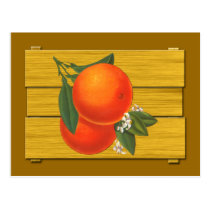 Oranges Vintage Crate Art Postcard postcards