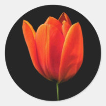 OrangeTulip Round Sticker