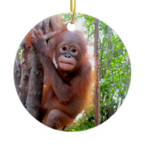 Orangutan Baby Uttuh Christmas Tree Ornament