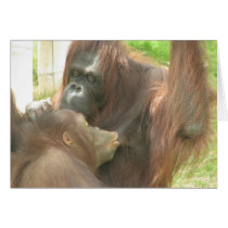 Orangutan Breastfeeding Greeting Cards