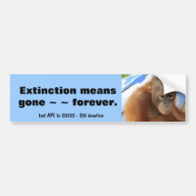 Orangutan Bumper Stickers