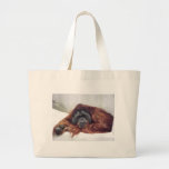 Orangutan Canvas Bag