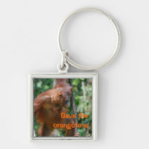 Orangutan Photo in Forest Keychains