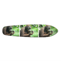 Orangutan Scratching Skateboard