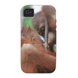 Orangutan Wildlife Kisses Vibe iPhone 4 Case