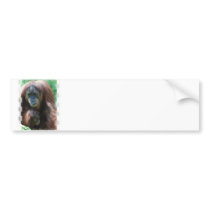 Orangutan with Baby  Bumper Sticker