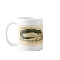 Orbigny - Salamander - Siren lacertina Promo Mug