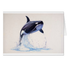 Orca Flow Greeting Cards