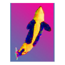 Orca Killer Whale Breaching in Bright Colours Post Card