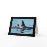 Orca/Killer Whale Mother's Day Card