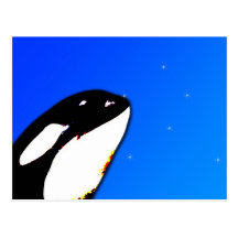 Orca Killer Whale Spy Hops on a Blue Starry Sky Postcard