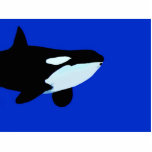 orca killer whale underwater graphic cut outs