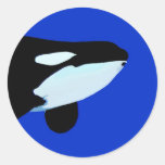 orca killer whale underwater graphic stickers