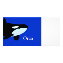 orca killer whale underwater graphic txt picture card