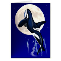 Orca Moon Card