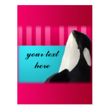 Orca Spy Hop Sea Pink & Red Stripes -Your text Post Card