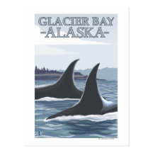 Orca Whales #1 - Glacier Bay, Alaska Postcards