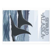 Orca Whales #1 - Seward, Alaska Postcards