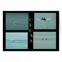 ORCAS CARD