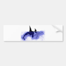 Orcas Killer Whales Bumper Sticker