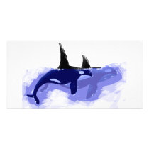 Orcas Killer Whales Photo Cards