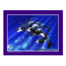 orcas postcards