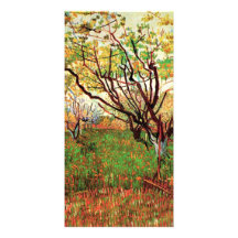 Orchard in Blossom, Vincent van Gogh. Picture Card