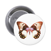 Orchard Swallowtail Butterfly Pins