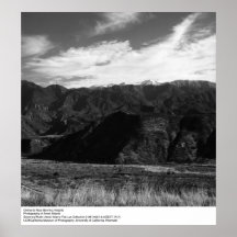 Orchards Near Banning Heights by Ansel Adams Poster