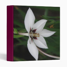 Orchid Binder