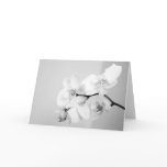Orchid cards