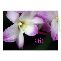 Orchid Greeting Card