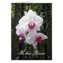 orchid, He has Risen Cards