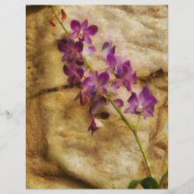 Orchid - Just Splendid Flyers