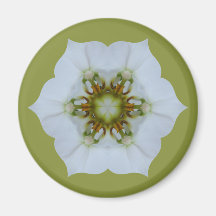 Orchid Kaleidoscope Magnet