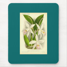 Orchid - Laelia Anceps Mouse Mat
