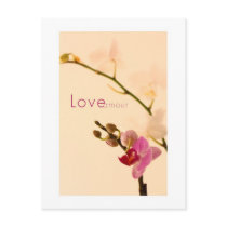 Orchid Love Amour