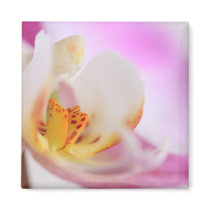 Orchid Refrigerator Magnets