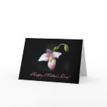 Orchid Mother's Day Greeting Card