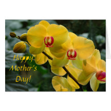 Orchid Mother's Day Greeting Card