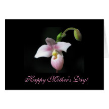Orchid Mother's Day Greeting Card