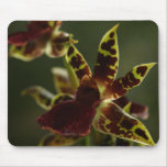 Orchid Mousepad!