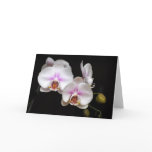 Orchid note card