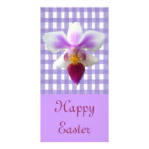 Orchid on Lavender Lace Gingham Photo Cards