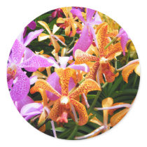 Orchid Party