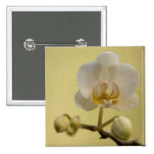 Orchid Pinback Button