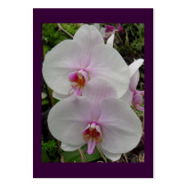 Orchid - Pink Blossom Tract Cards /